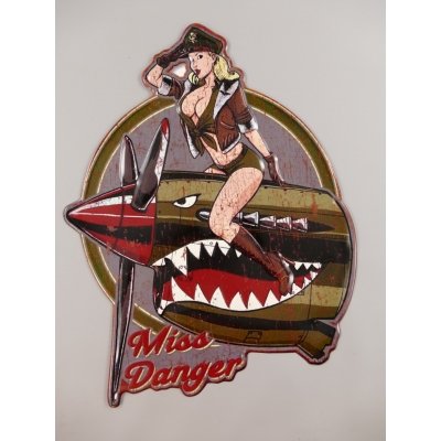 Miss Danger Miss Danger